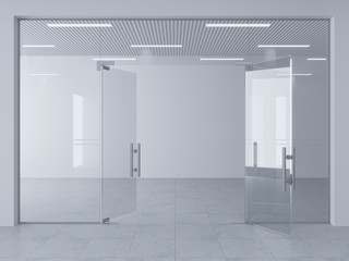 Frameless Glass Doors